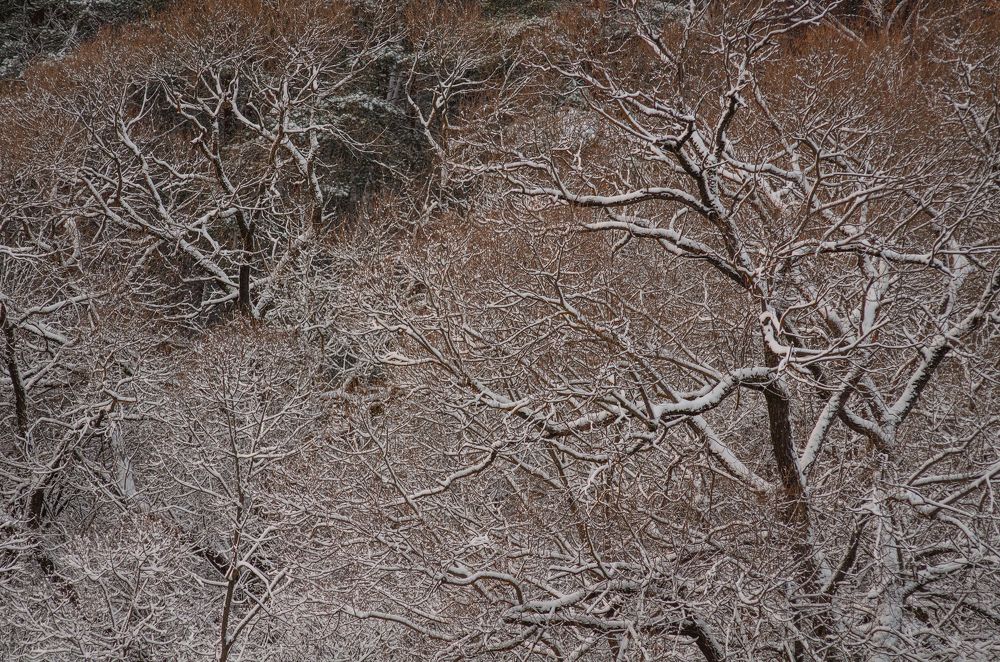 Photograph by Ольга Новикова