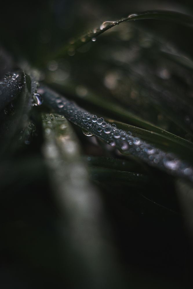 Photograph by Дмитров Андрей