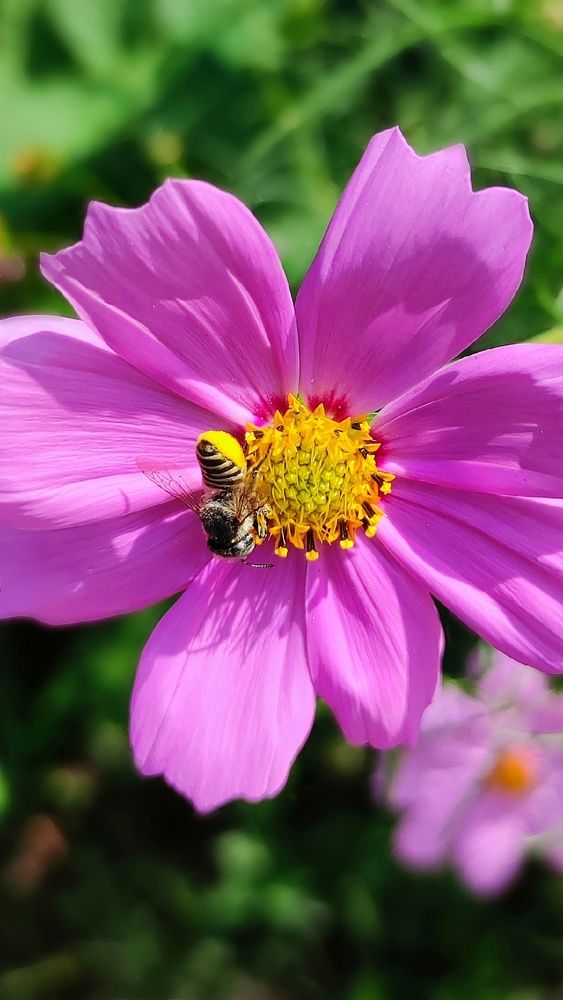 Photograph by Алла Холодова