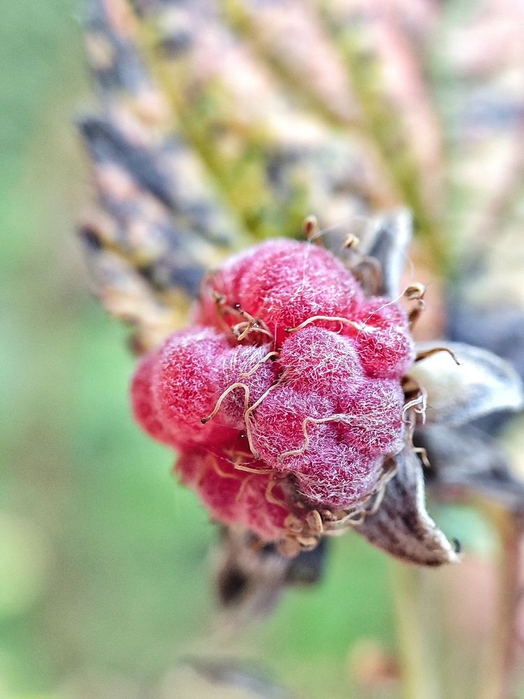 Photograph by Дмитрий Фетисов