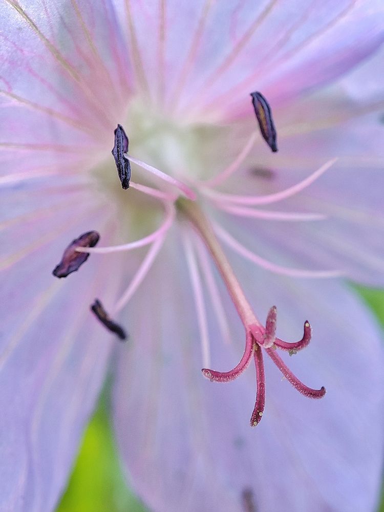 Photograph by Дмитрий Фетисов