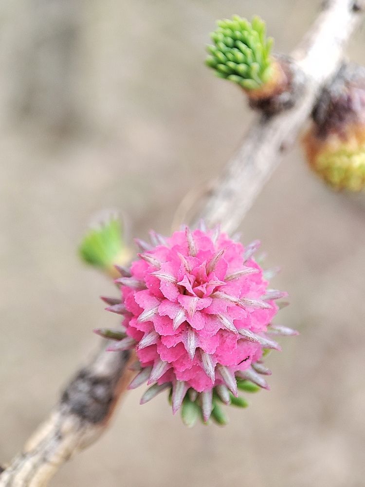 Photograph by Дмитрий Фетисов