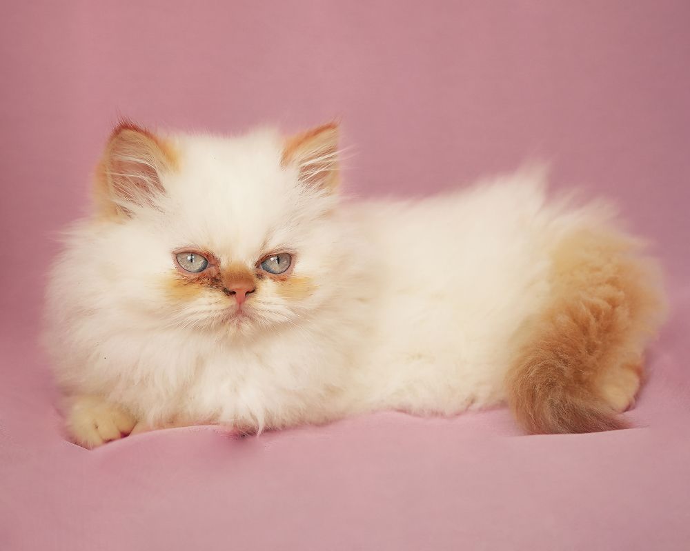 Photograph by Margoth Toro