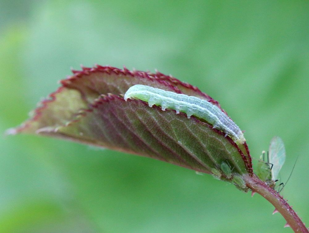 Photograph by Юрий Варюхин