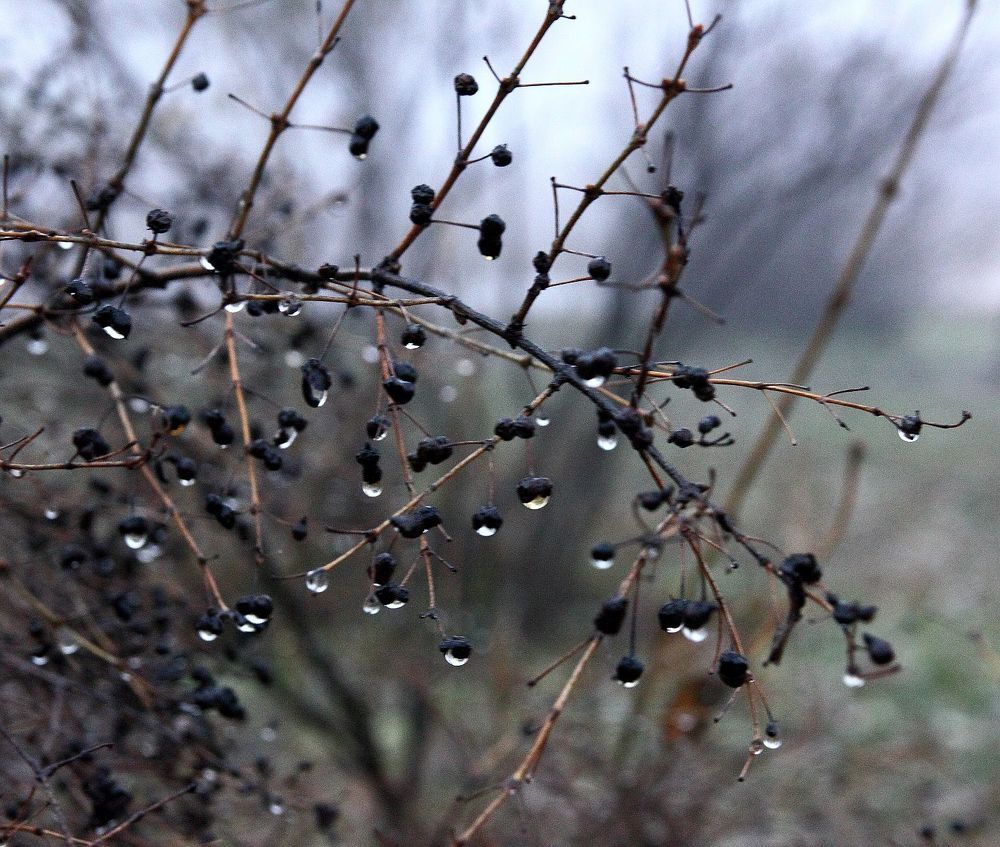 Photograph by Юрий Варюхин
