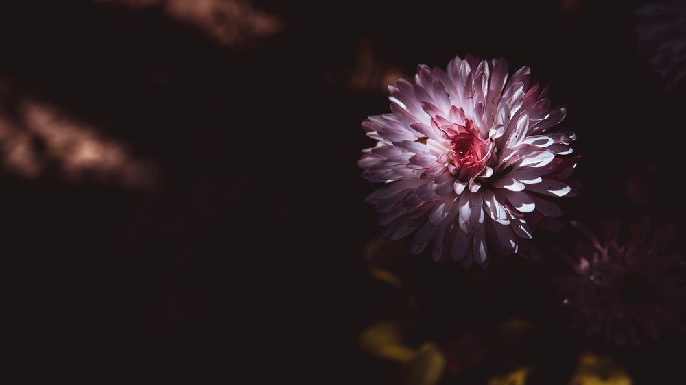 Фотография автора Войнов Дмитрий