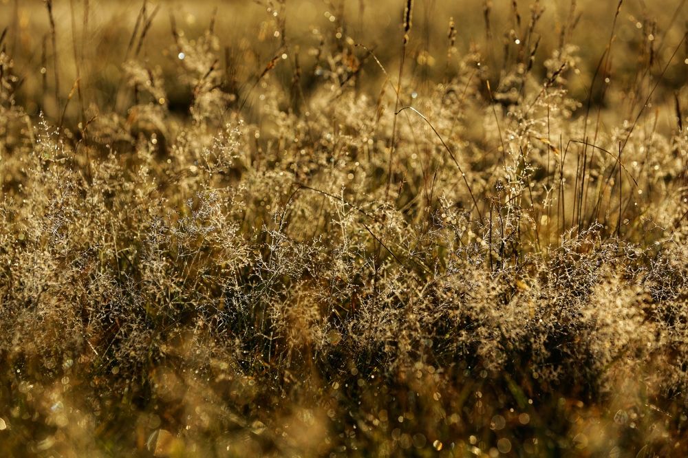 Photograph by Oksana Shchegolkova