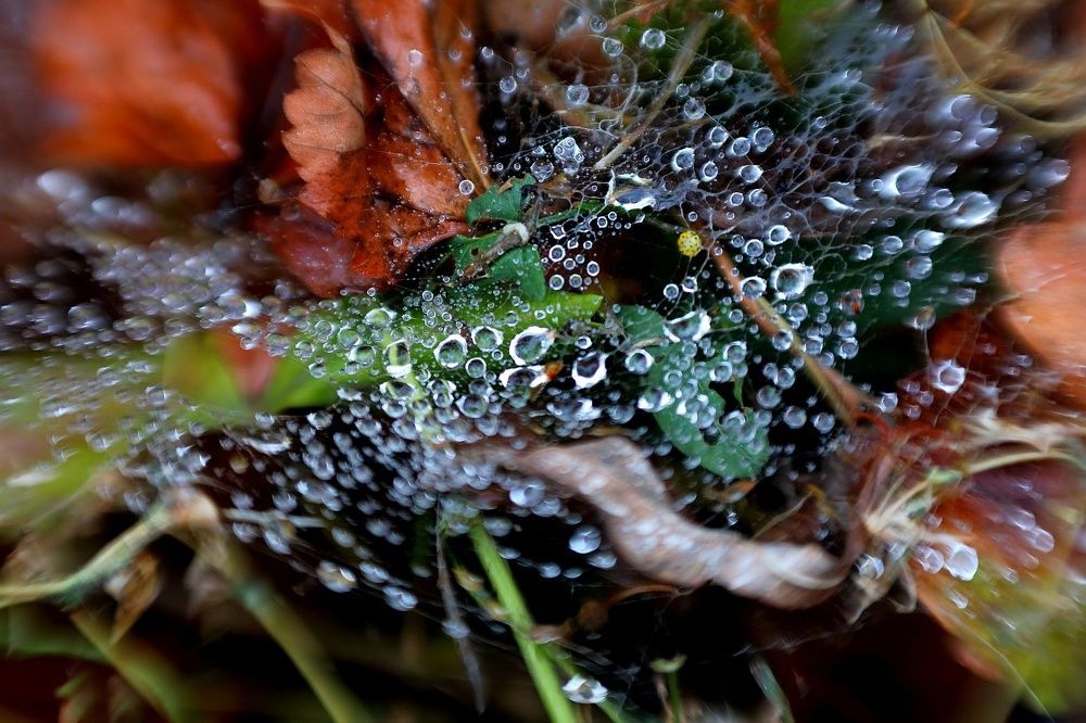 Photograph by Юрий Варюхин