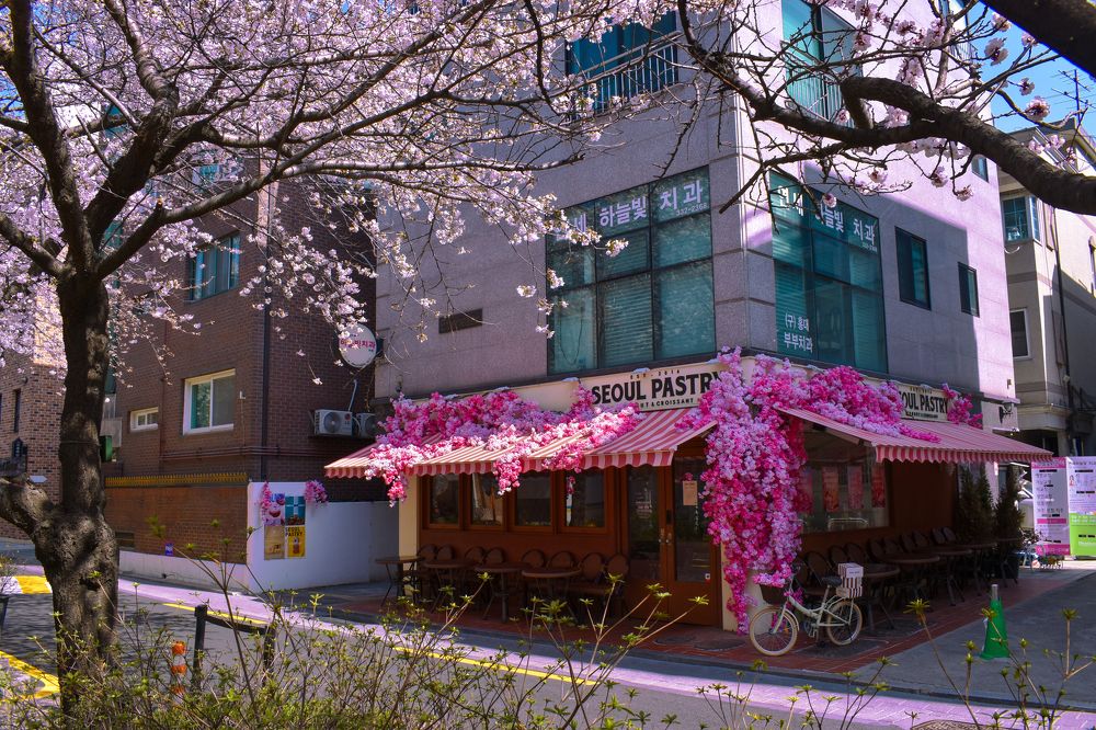 Photograph by Ivan Schaievitch