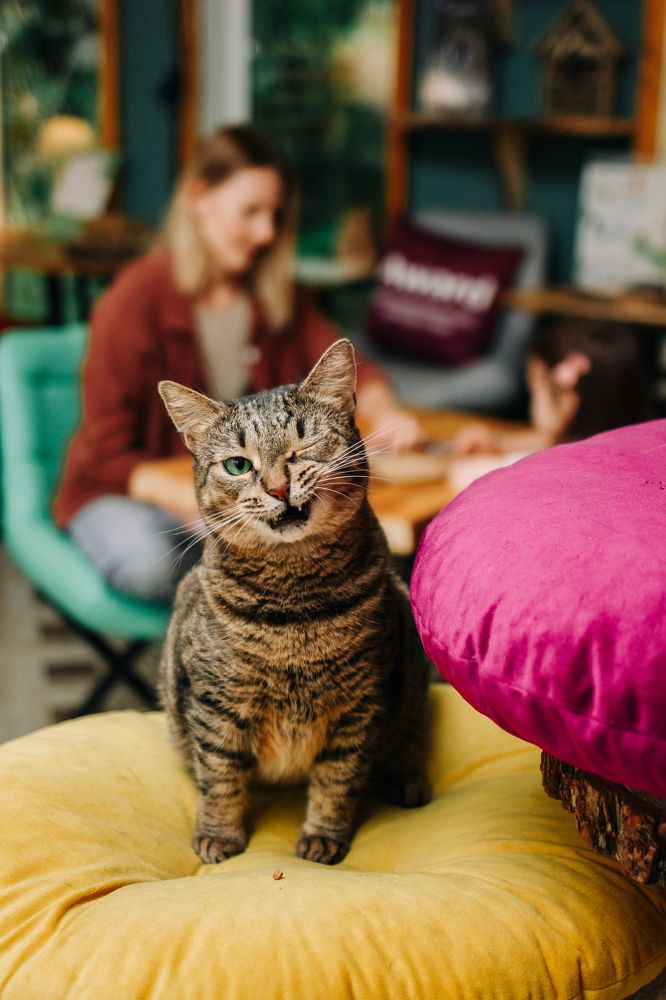 Photograph by Дарья Радькович