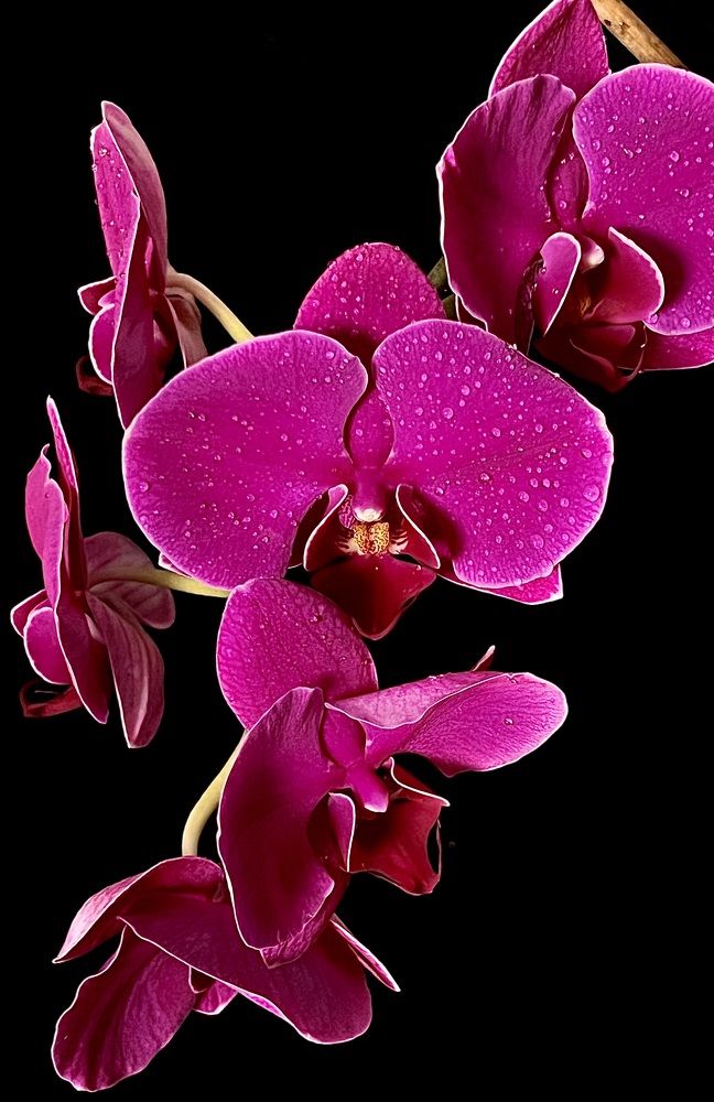 Photograph by Елена Громова