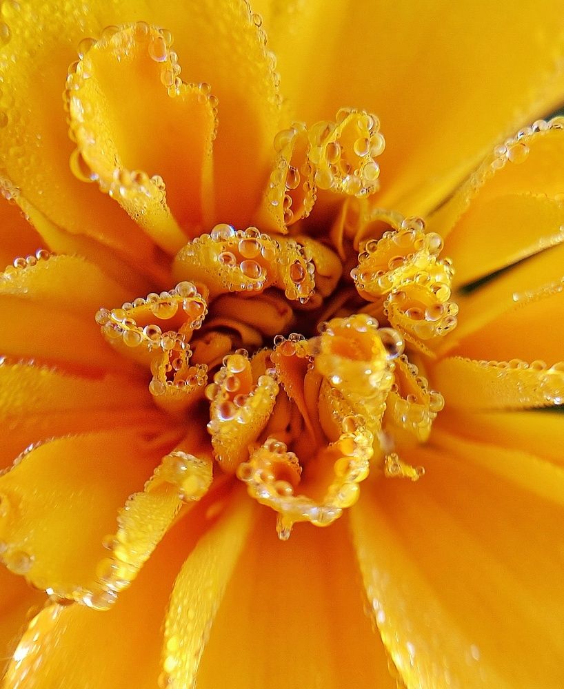 Photograph by Эльвира