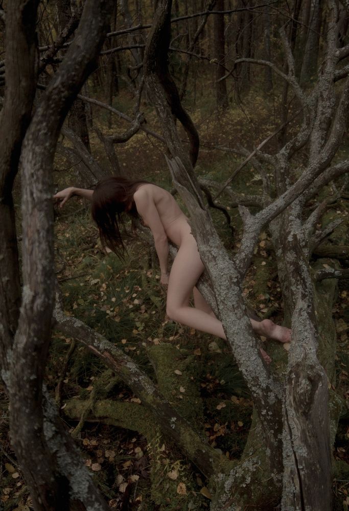 Фотография автора Евгений Ошаров