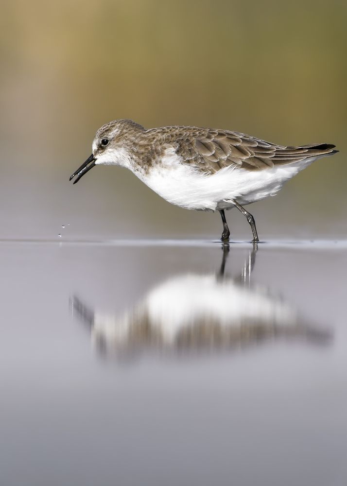 Photograph by Mohamed Haddad