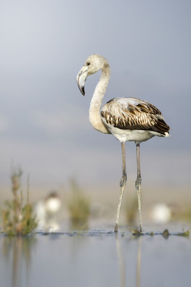 Photograph by Mohamed Haddad