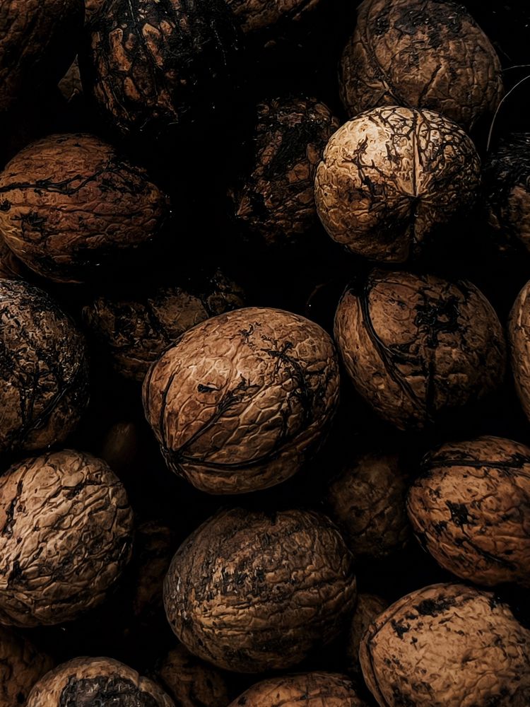 Photograph by Ksenija Bartoško