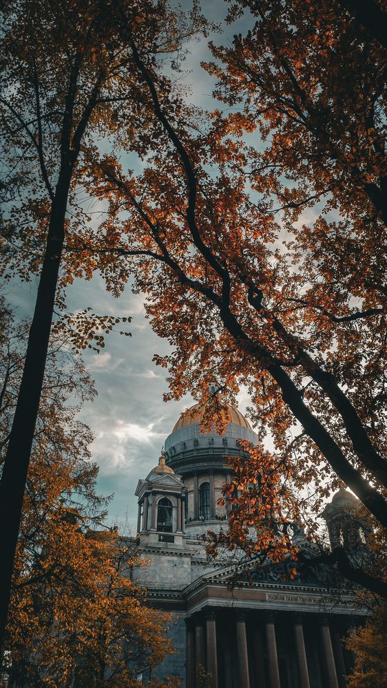 Осень в Петербурге