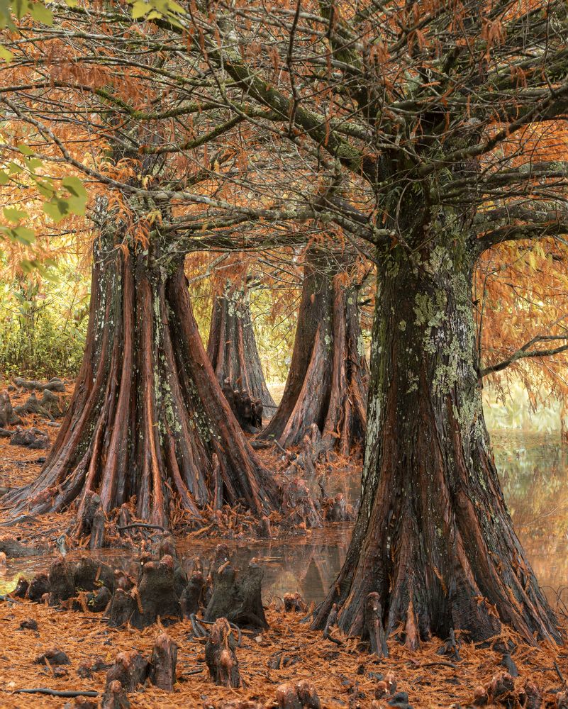 Photograph by Valdir Hobus