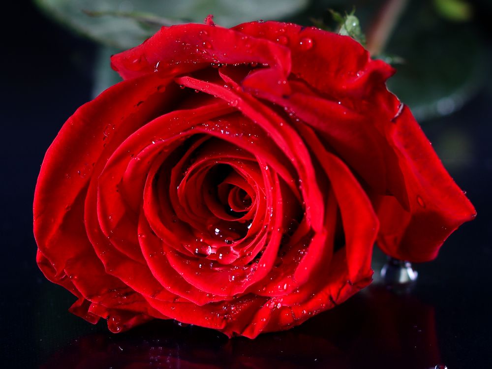 Photograph by Margoth Toro