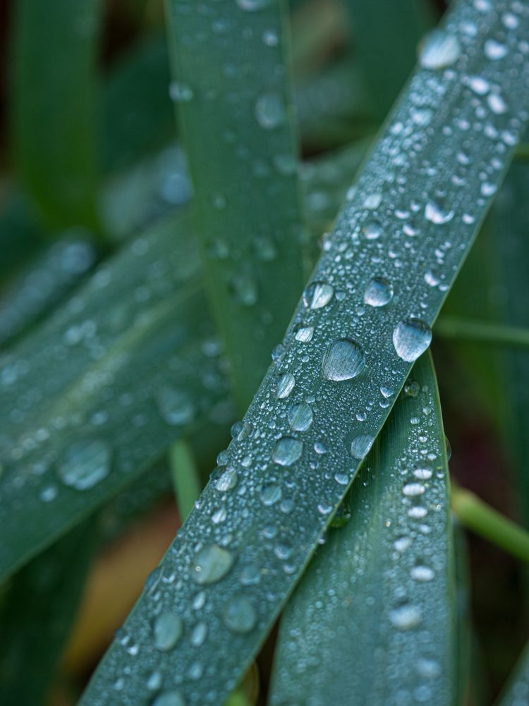 Photograph by Шейко Анна