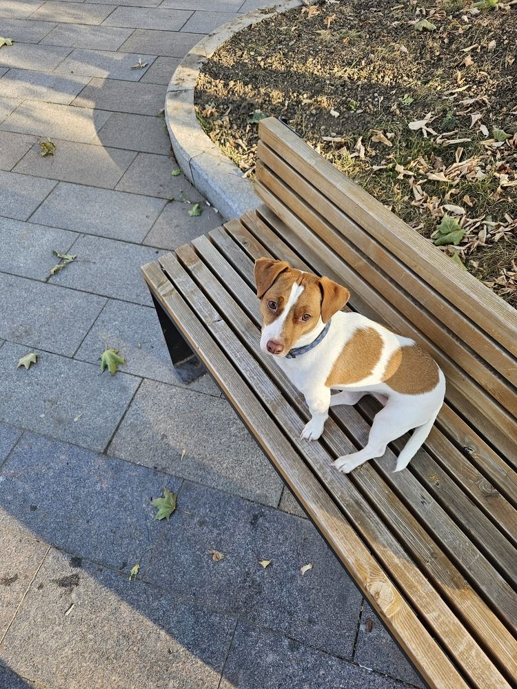 Photograph by Любовь Ершова