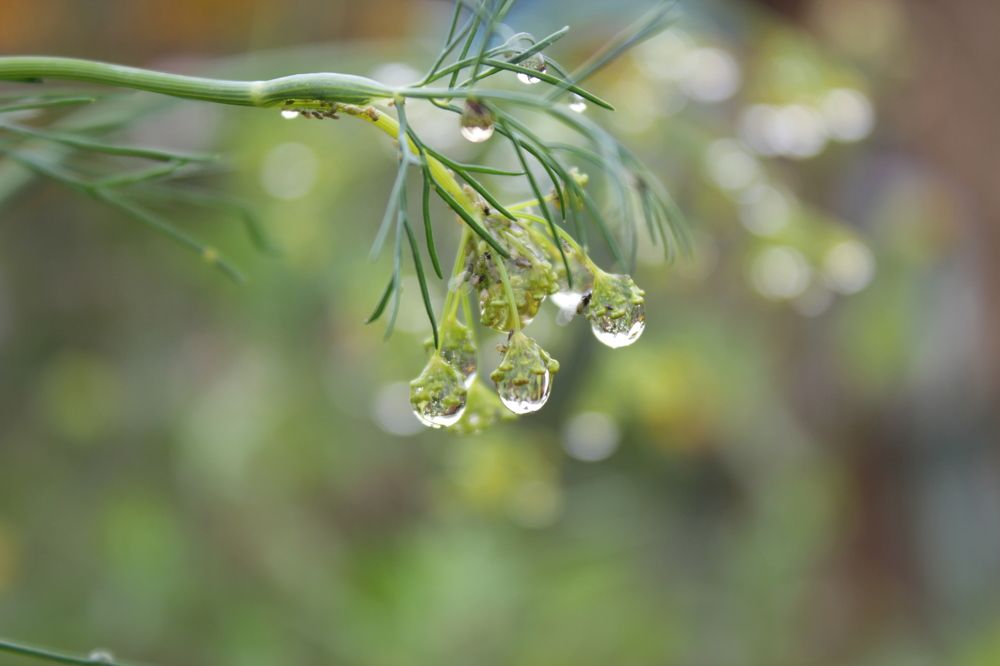 Photograph by Юлия Щетинина