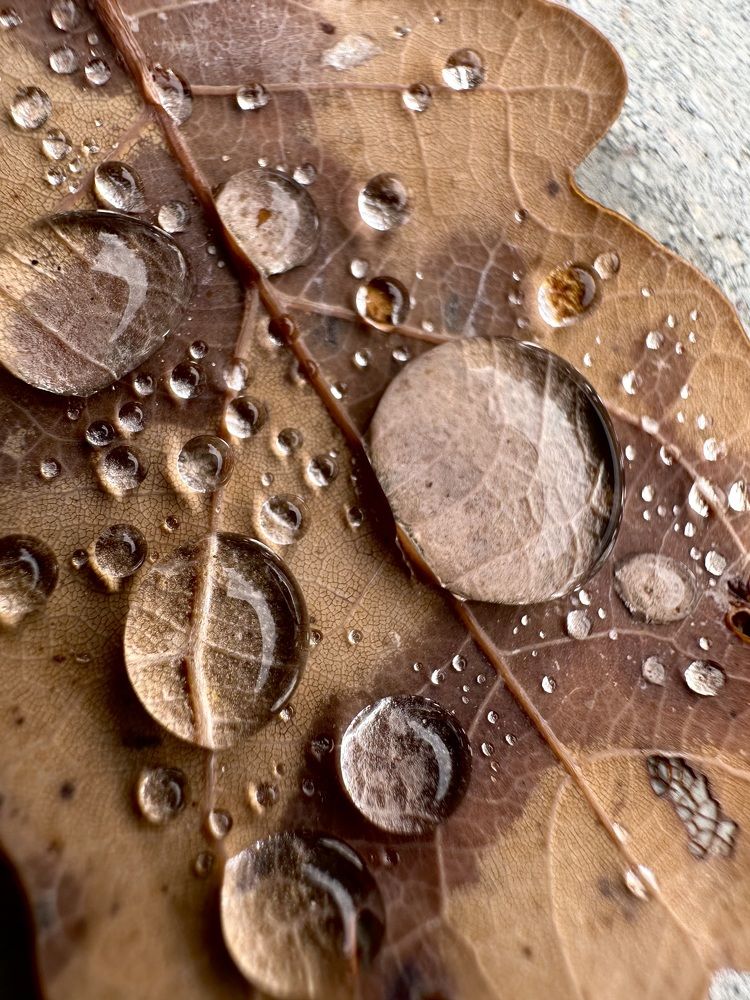 Photograph by Екатерина Балакина