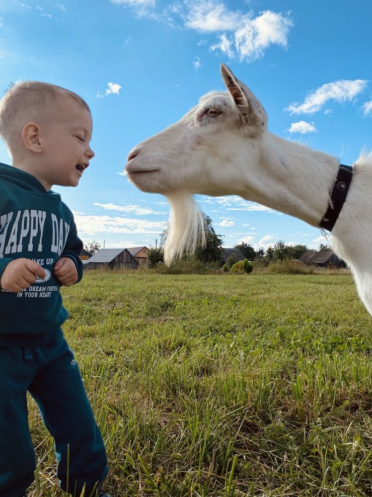 Фотография автора Ирина Костюкевич