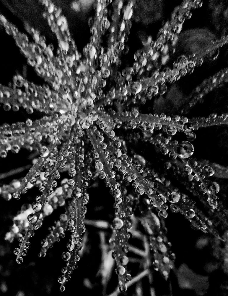 Photograph by Наталья Трофимова