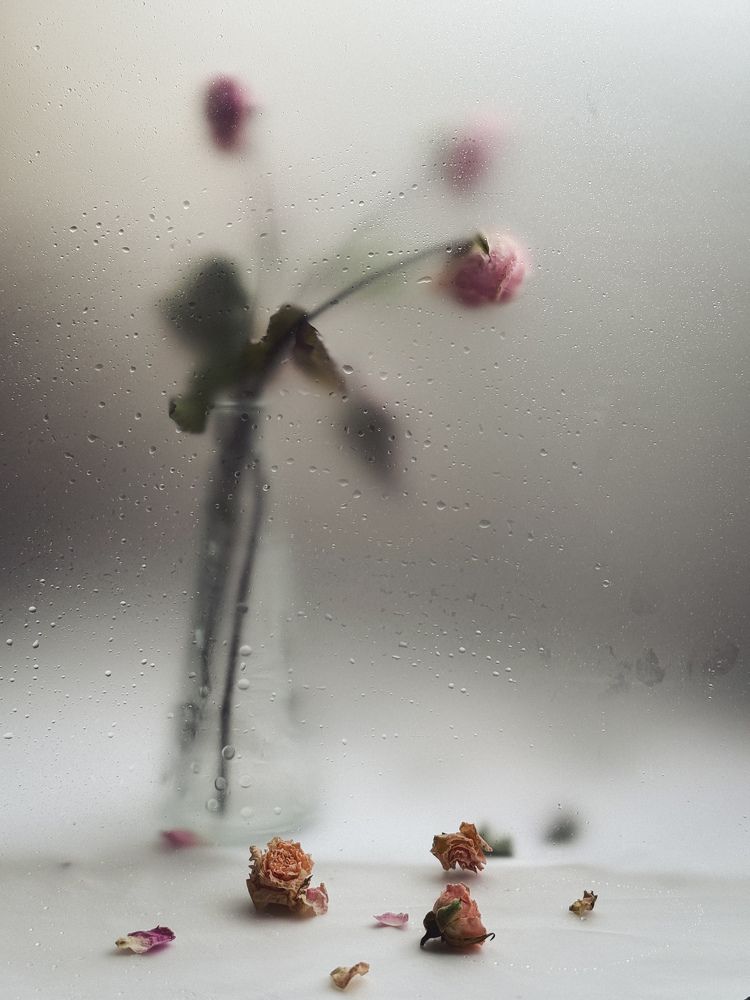 Photograph by Дарья Ищенко