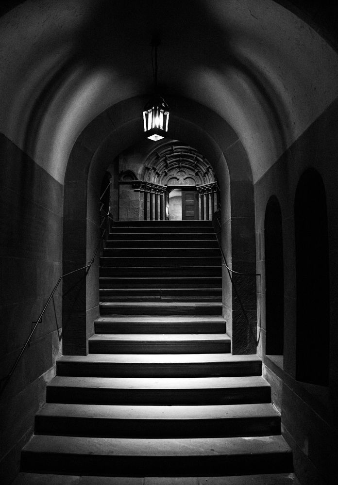 Photograph by Mostafa Mohammad Beigi