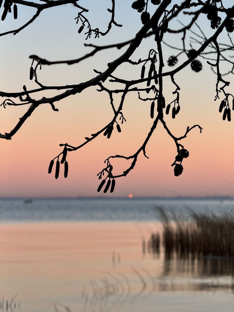 Photograph by Дарья Ищенко