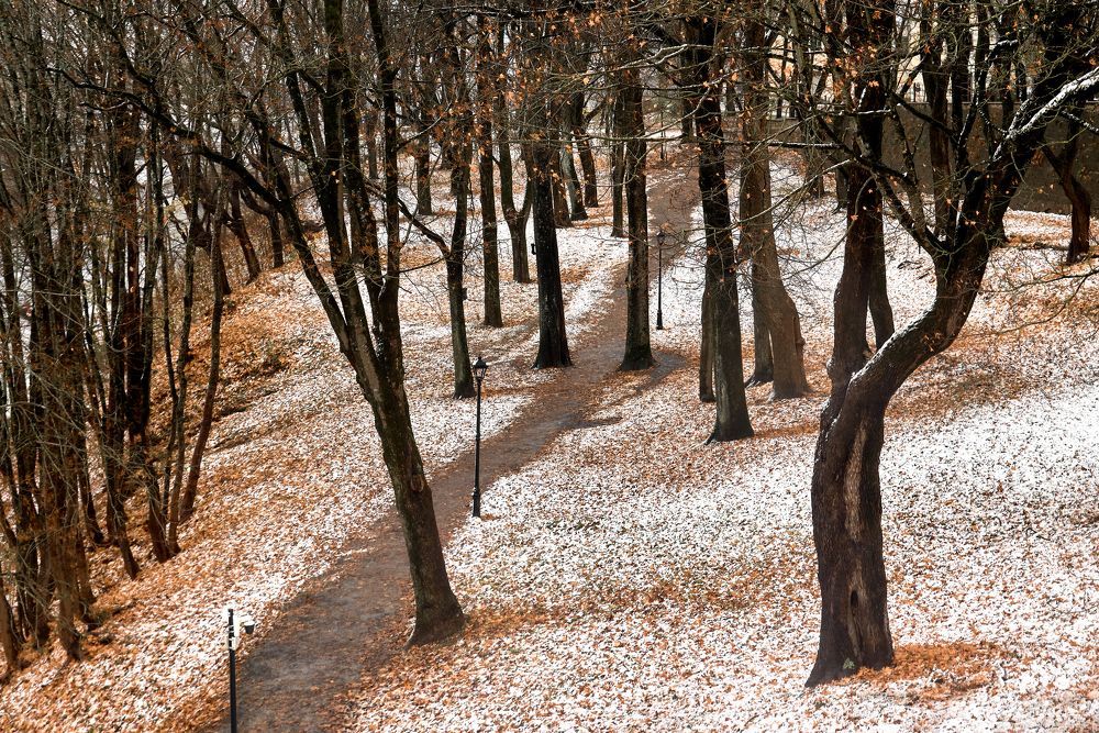 Photograph by Alla Matrosova