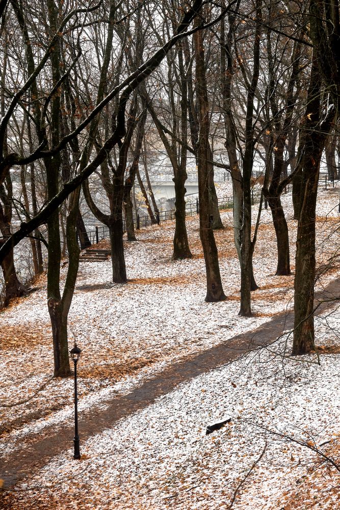 Photograph by Alla Matrosova