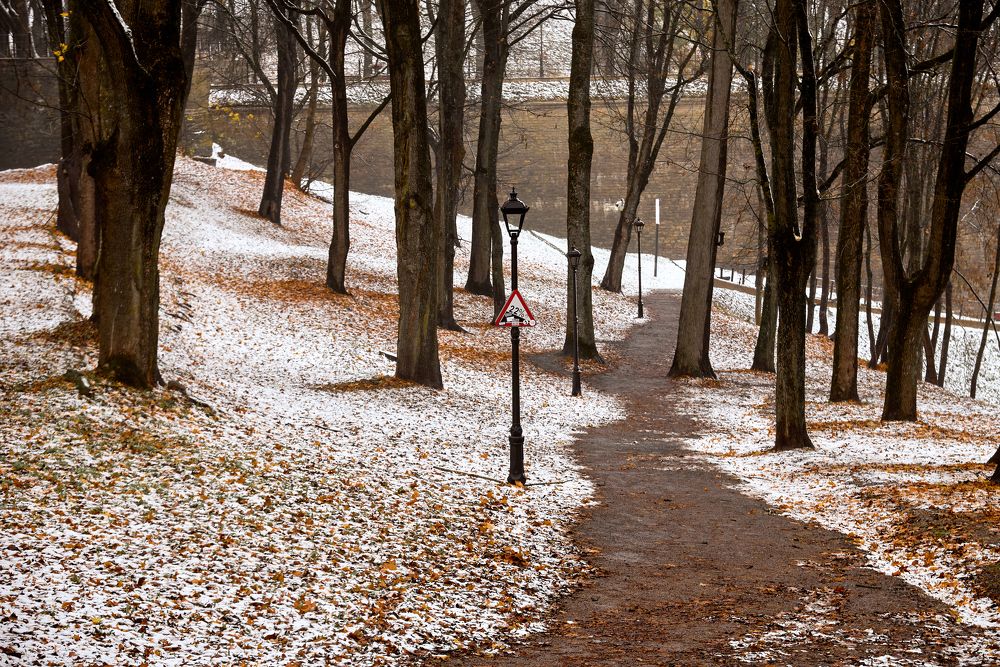 Photograph by Alla Matrosova