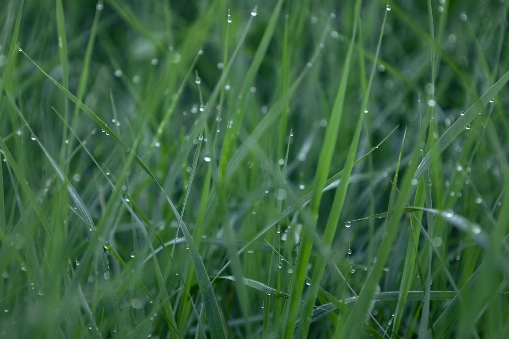 Photograph by Ольга Демидова