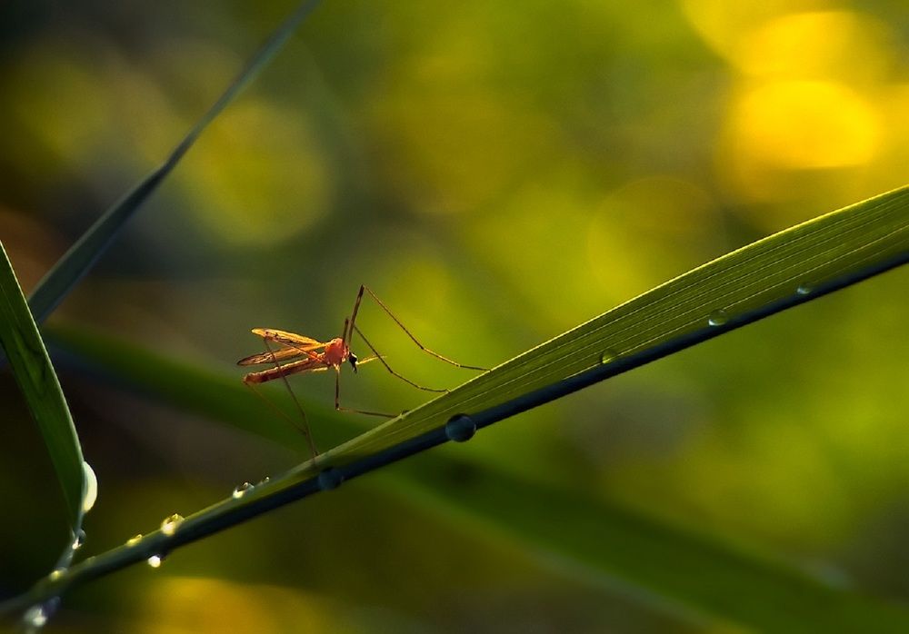 Photograph by Владимир