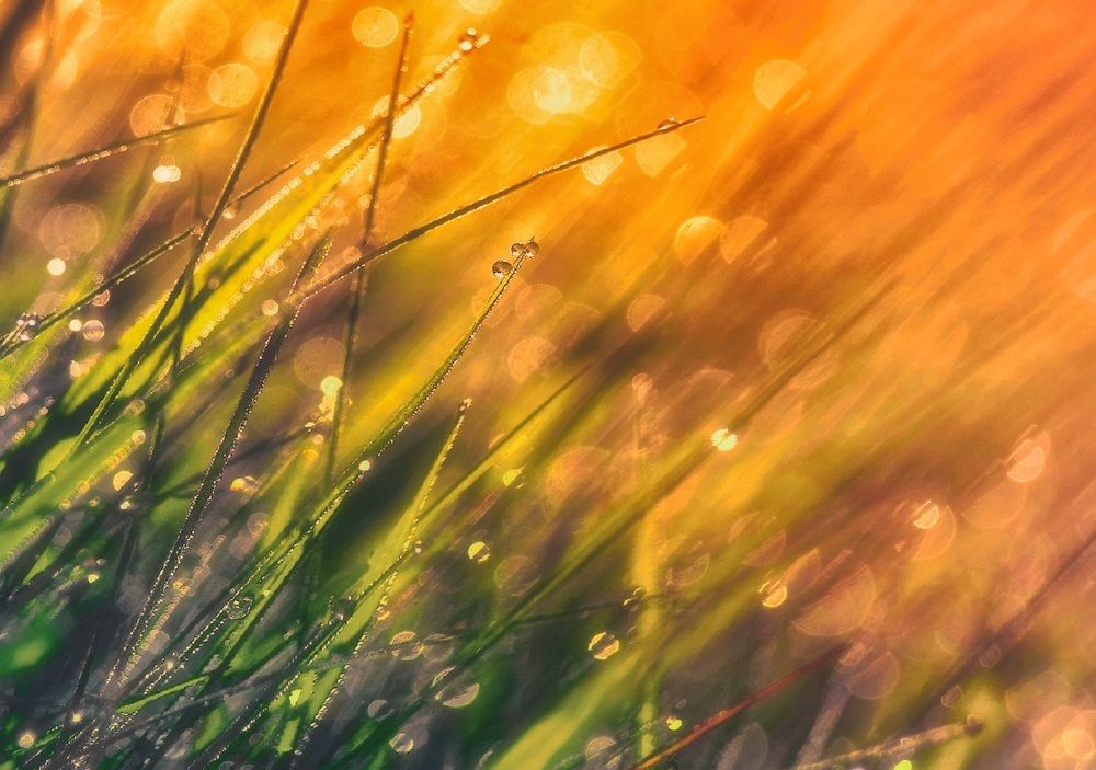 Photograph by Владимир