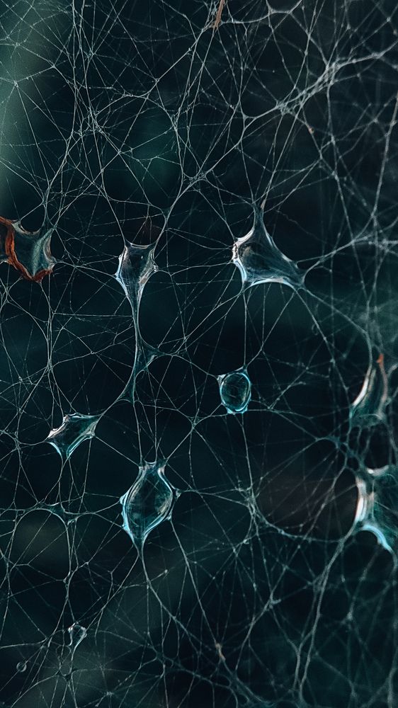 Photograph by Ehsan Fathi