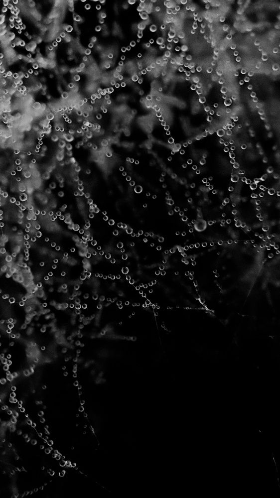 Photograph by Ehsan Fathi