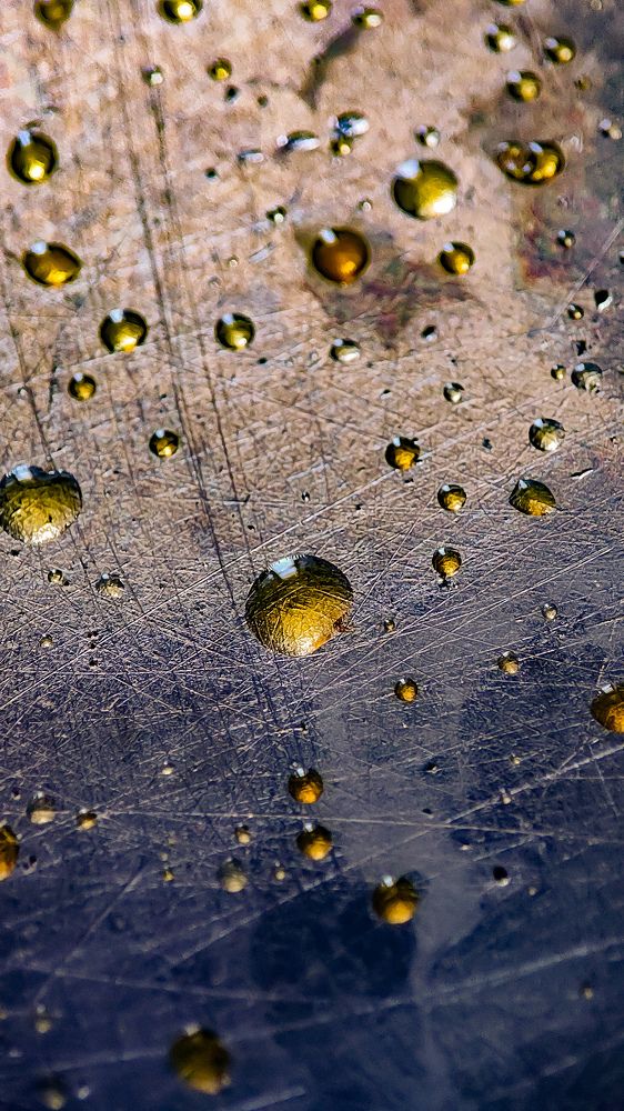 Photograph by Ehsan Fathi