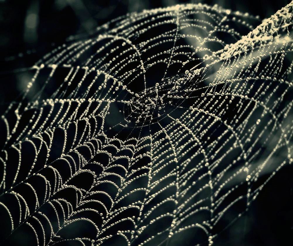 Photograph by Владимир