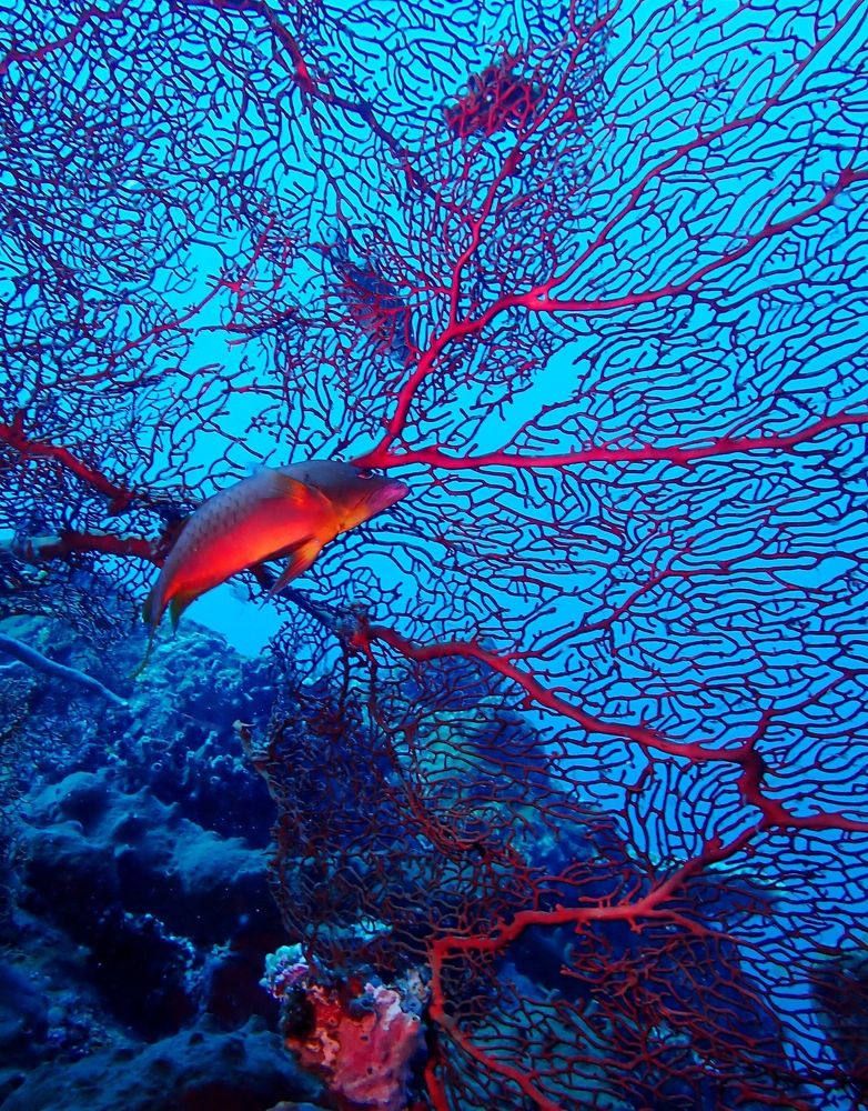 Photograph by Кирилл Леднев