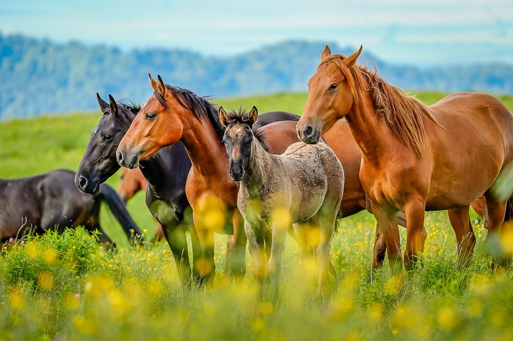 Photograph by Труханов Илья