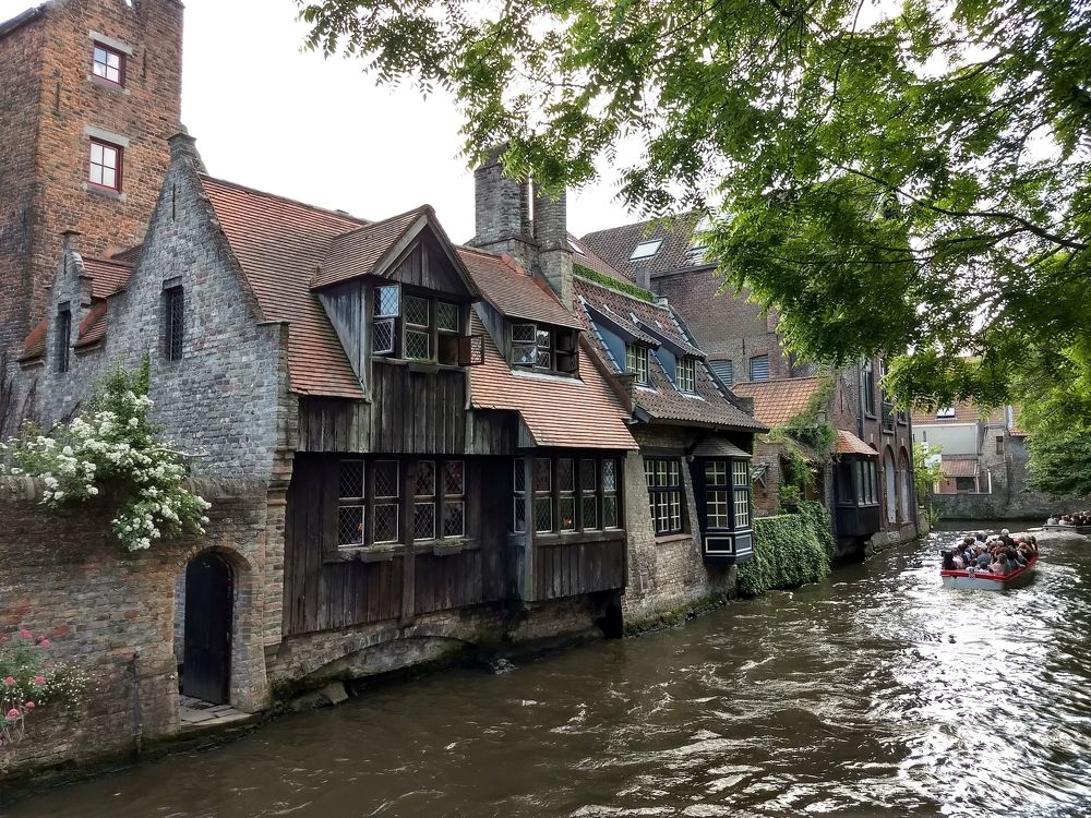 Photograph by Rosane Cortez