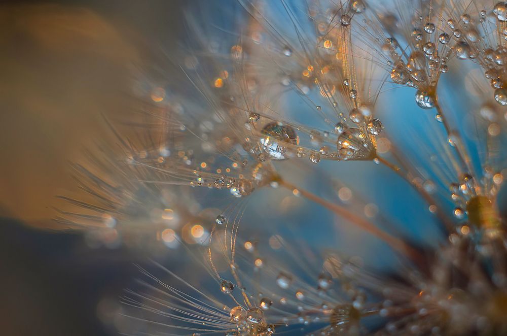 Photograph by Марина Мурашова