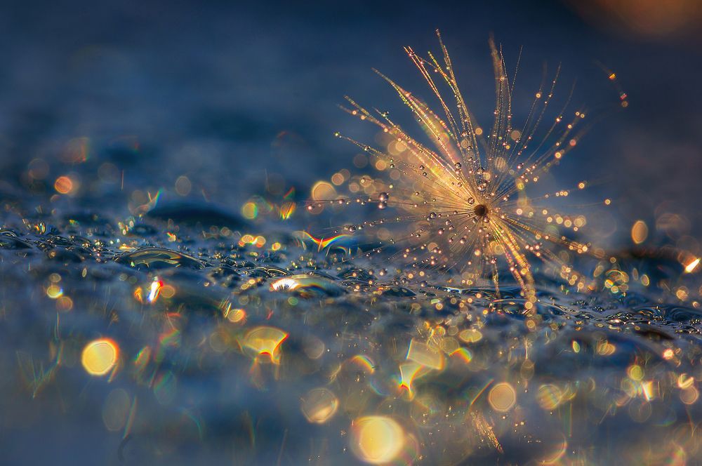 Photograph by Марина Мурашова