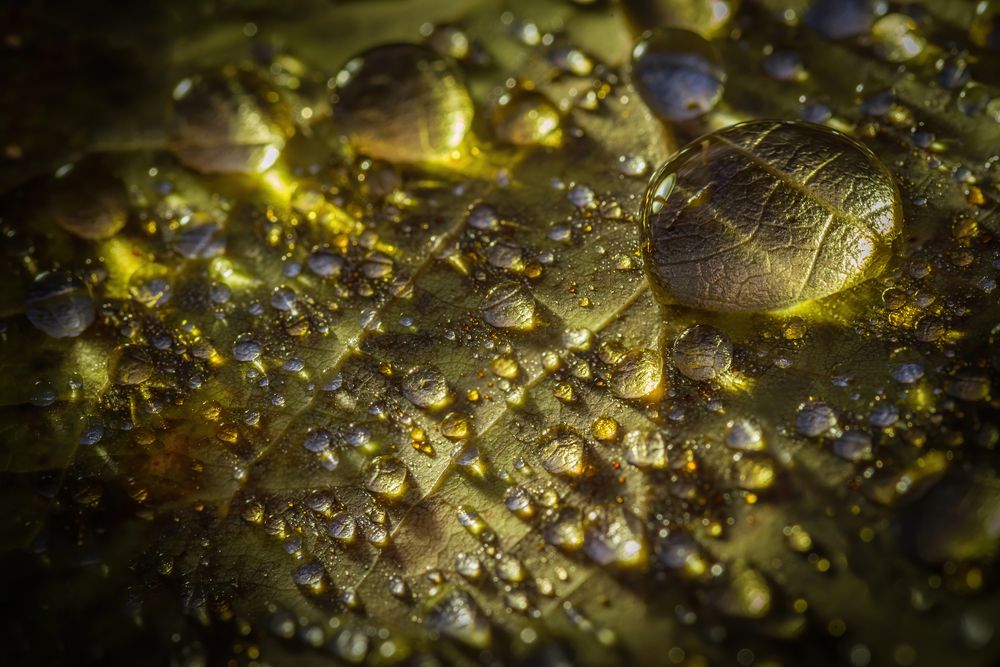 Photograph by Марина Мурашова