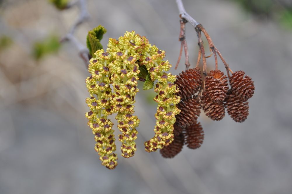 Photograph by Евгений Захаров