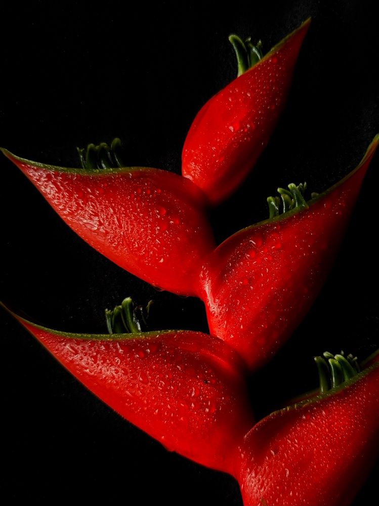 Photograph by Маргарита Сергуткина